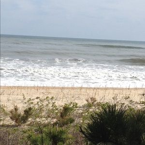 Meet your Posher, Diane